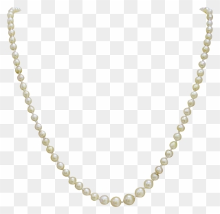 Strand Of Pearls Necklace - Chain Necklace Transparent Background Clipart