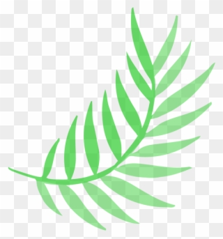 Original On Transparent Leaf Willowtree - Consultant Clipart