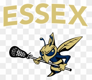 Essex Hs Lacrosse - Less Is More Font Clipart
