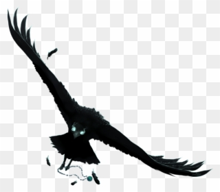 Raven Art Png - Raven Bird Anime Raven Clipart