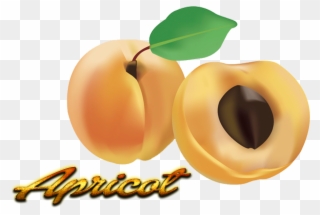 Apricot Png - Fruit Clipart