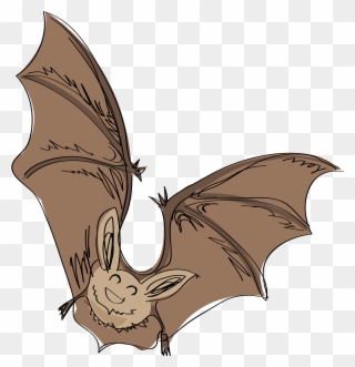 1 - 2 - 3 - - Little Brown Myotis Clipart