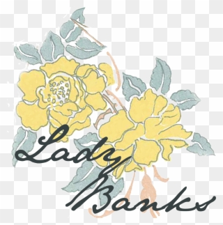 Lady Banks - Garden Roses Clipart