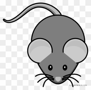 Mouse Clipart Animal - Cute Rat Clip Art - Png Download