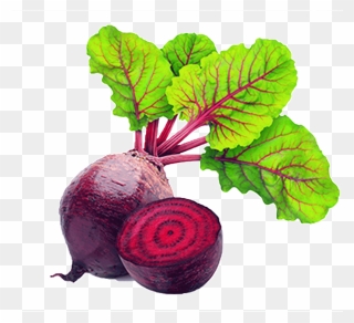 Red Beet Root Physical Material - Beets Vegetable Clipart
