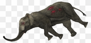 1164 X 1164 10 - Dead Animal Png Clipart