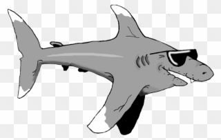 Clipart Shark Grandpa - Bronze Hammerhead Shark - Png Download