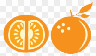 Orange Fruit Clipart Orange Slice - Illustration - Png Download