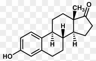 File - Estrone2 - 4 Bromo 1 2 Dimethylbenzene Clipart