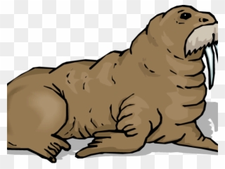 Baseball Walrus Cliparts - Walrus Clip Art - Png Download