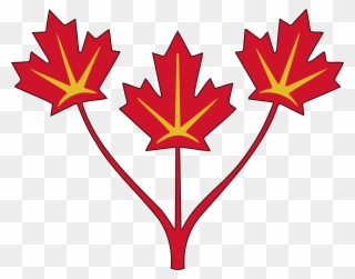 Three Maple Leaves Of Canada - Canadian Coat Of Arms Shield Clipart