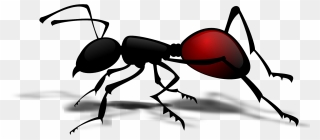 Vector Ant Cartoon Clip Art - Ant Body Part Worksheet - Png Download