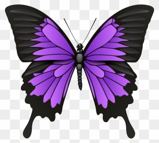 Free Free 225 Lupus Butterfly Svg SVG PNG EPS DXF File