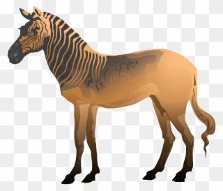 Free To Use &, Public Domain Extinct Animals Clip Art - Clipart Of Quagga - Png Download