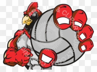 Cardinal Clipart Volleyball - Volleyball Cardinal Mascot Clipart - Png Download