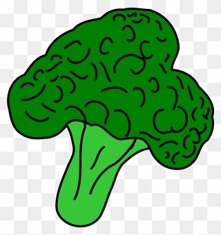 Broccoli Vegetable Healthy Food Vegetarian Plant - Broccoli Clip Art - Png Download
