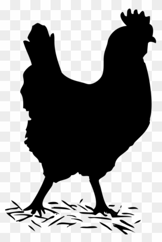 Chicken Clipart Shadow - Chicken Clipart Black And White - Png Download