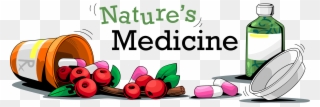Medicine Developed From Nature - Mexico Travel Guide: The Top 10 Highlights Clipart