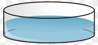 Petri Dish Clipart, Vector Clip Art Online, Royalty - Petri Dish With Media - Png Download