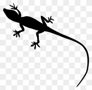Lizard Animal Silhouette Free Illustrations Free Clip - Lizard No Background - Png Download