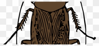 Roaches - Flying Cockroach Clipart - Png Download