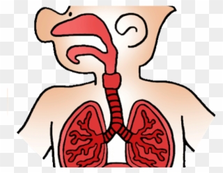 Relax Clipart Human Breathing - Respiratory Therapy Clipart - Png Download