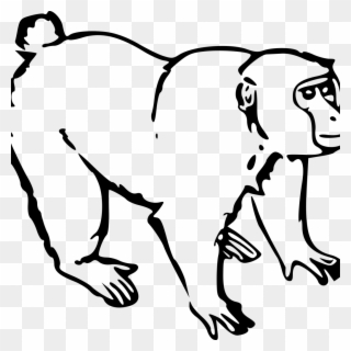 1024 X 1024 1 - Black And White Drawing Of Ape Clipart