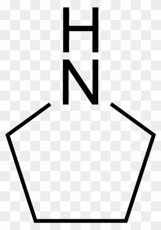 Pyrrolidine - Cyclic Nitrogen Compounds Clipart