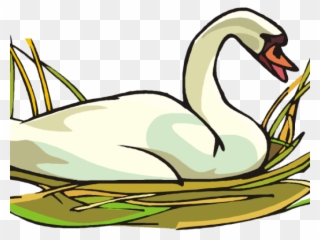 Goose Clipart Swans - Duck - Png Download