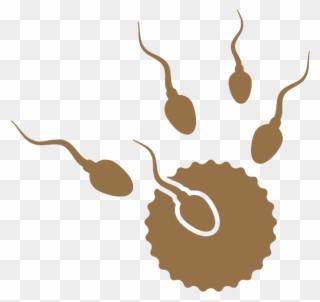 Donor Sperm - Raw Milk Made By Cow Clipart