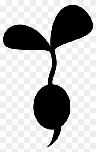Download Png - Root Clipart