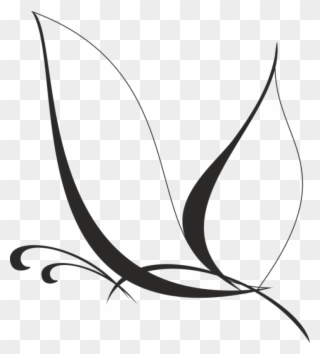 See Here Butterfly Clipart Black And White Outline - Butterfly Vector Lines Png Transparent Png