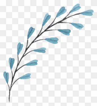 Bouquet Of Flowers Png - Branches And Flowers Drawing Clipart