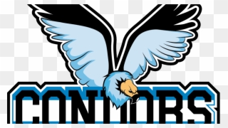 Argentina Condors Logo Clipart