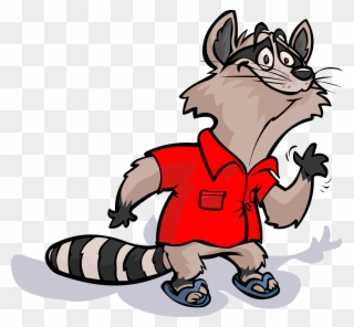 Raccoon At Getdrawings Com Free For Personal Ⓒ - Raccoon Clipart