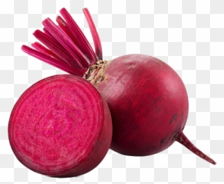 Png Image Purepng Free Transparent Background - Beet Png Clipart