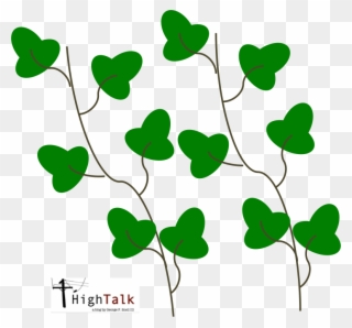 Vines Are Some Of The Most Beautiful Plants In The Clipart