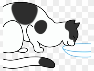 Milk Clipart Milk Drink - Cat Drinking Water Cartoon - Png Download