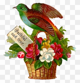 Each Little Bird Perched On The Flower Baskets Are - Illustration Clipart