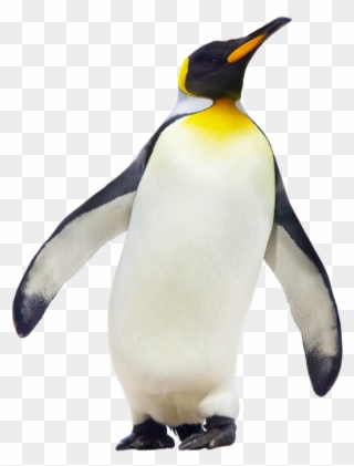 Penguin Clipart Emperor Penguin - Emperor Penguin - Png Download