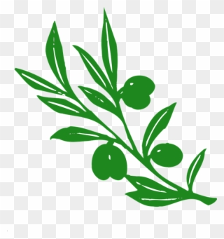 Contact Us - Olive Tree Branch Clipart