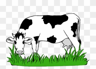 Black And White Stock Collection Of Grazing High Quality - Cow Eating Grass Png Clipart