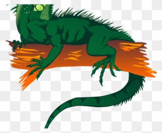 Green Iguana Clipart Lizard - Rainforest Animals Png Transparent Png