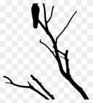 Raven Clipart Tree Silhouette - Agaç Ve Karga - Png Download