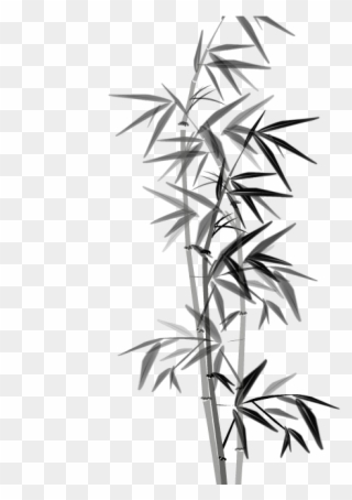 Download Bamboo Png- - Png Clipart Bamboo Tree Png Transparent Png ...