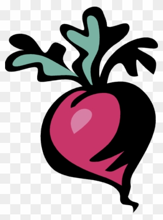 Vector Illustration Of Crisp, Pungent Edible Root Vegetable Clipart