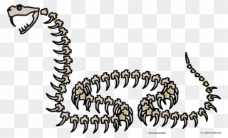 1162 X 708 1 - Skeleton Snake Png Clipart