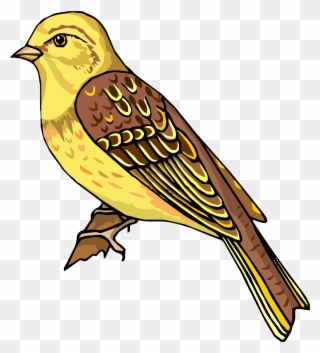 Staying Realistic Bird Clipart Png - You Turn Your Worry Into Worship Transparent Png