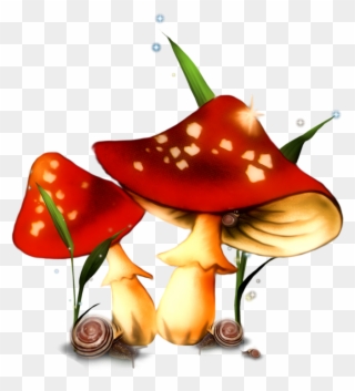 Фотки Stuffed Mushrooms, House Clipart, Mushroom House, - Champignon Animation - Png Download
