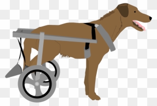 Dog With Wheelchair - Dog Yawns Clipart